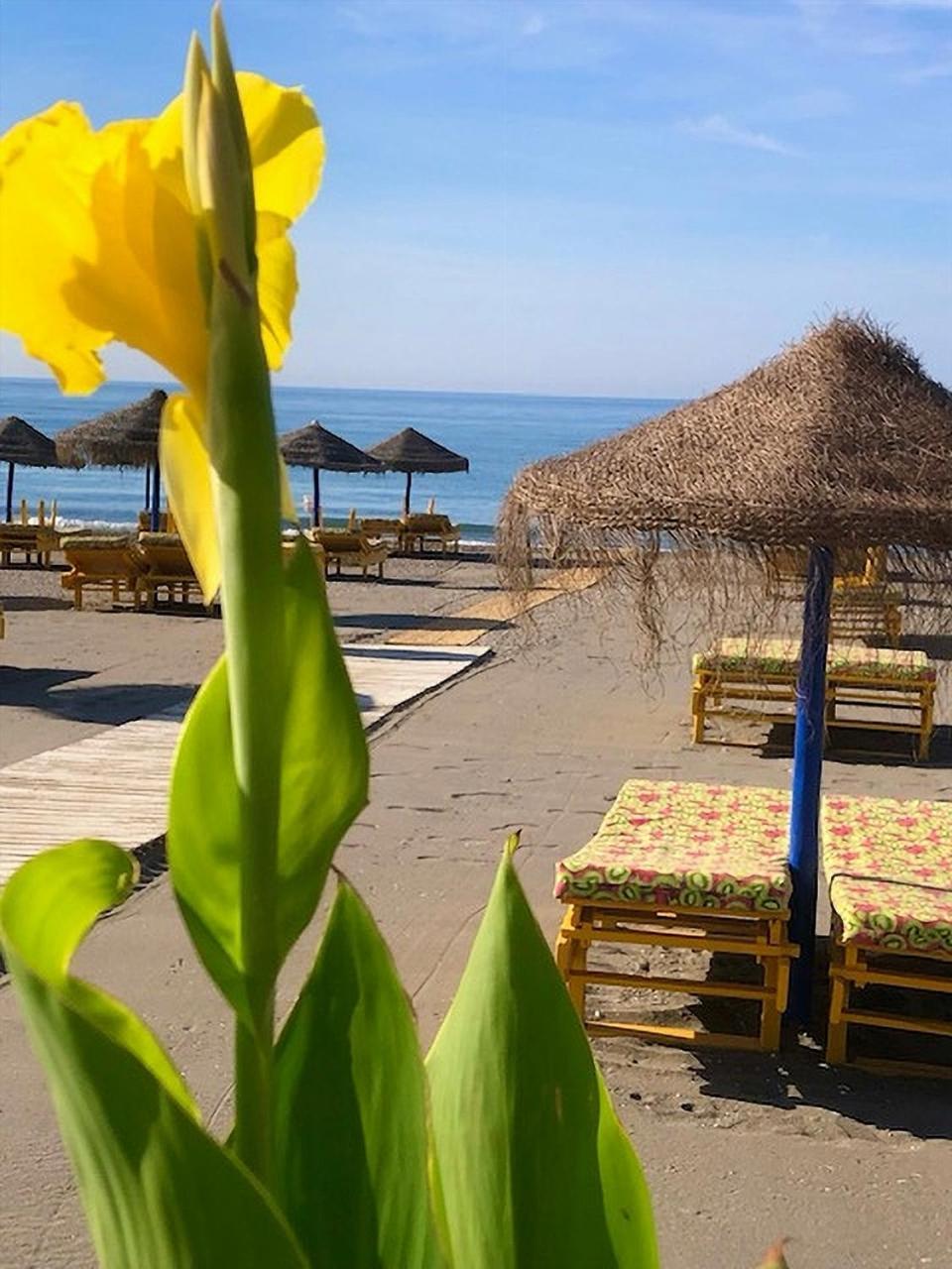 Spacious 1 Bedroom Apartment, Beach Front, Torrox Costa Extérieur photo